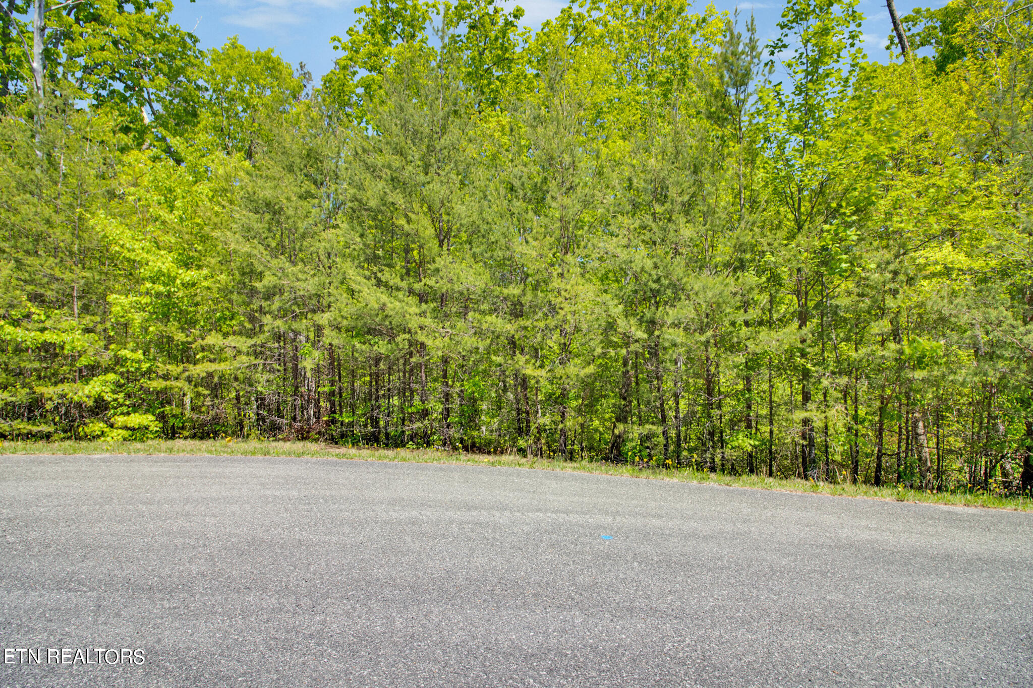 1228 Wind Rush Way Property Photo 11