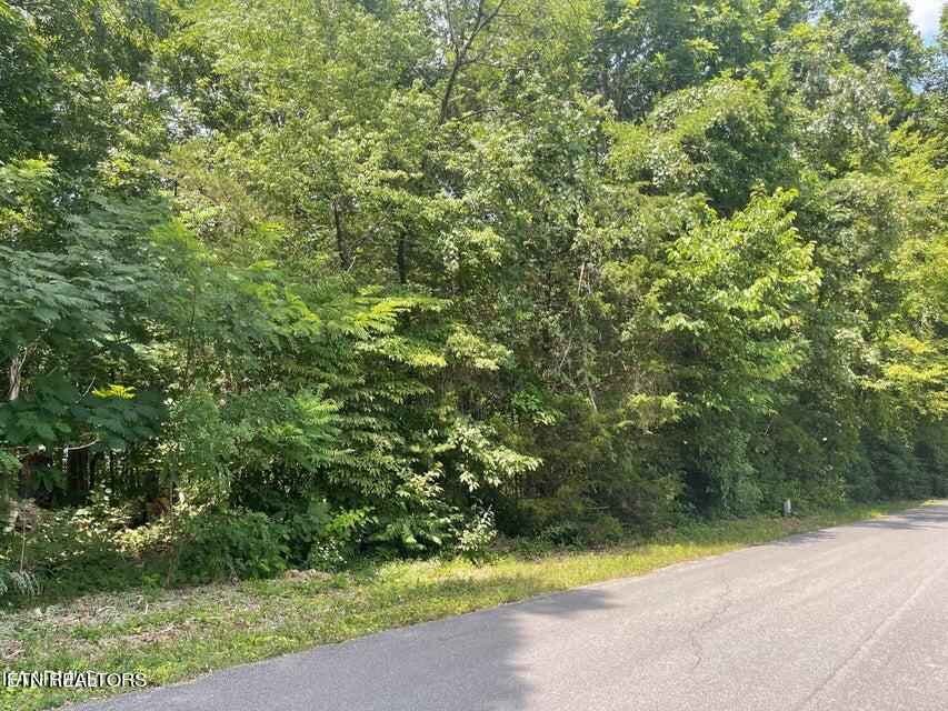 Lot 19 Somerset Lane Property Photo 1