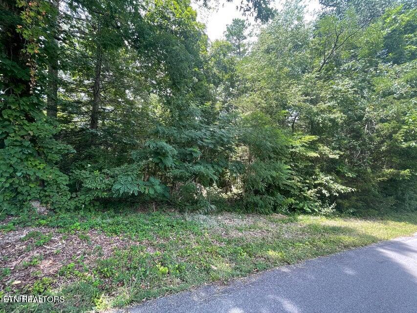Lot 19 Somerset Lane Property Photo 3