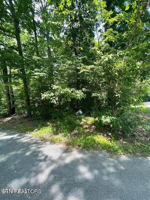 Lot 19 Somerset Lane Property Photo 4