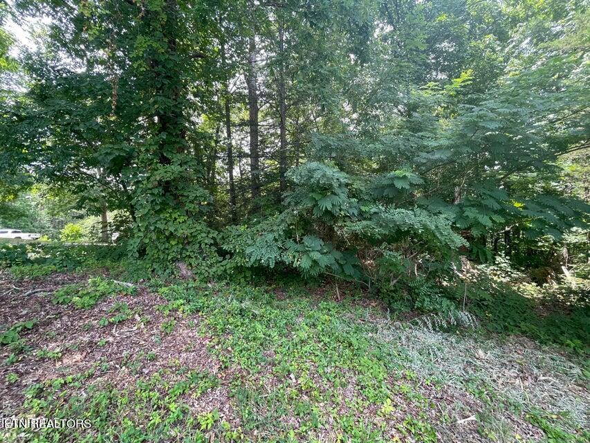 Lot 19 Somerset Lane Property Photo 6