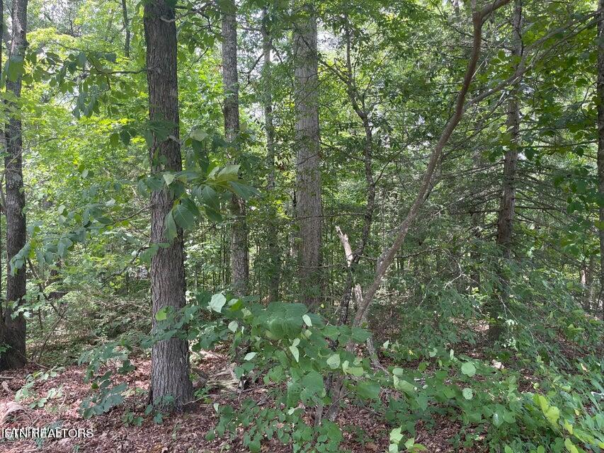 Lot 19 Somerset Lane Property Photo 7