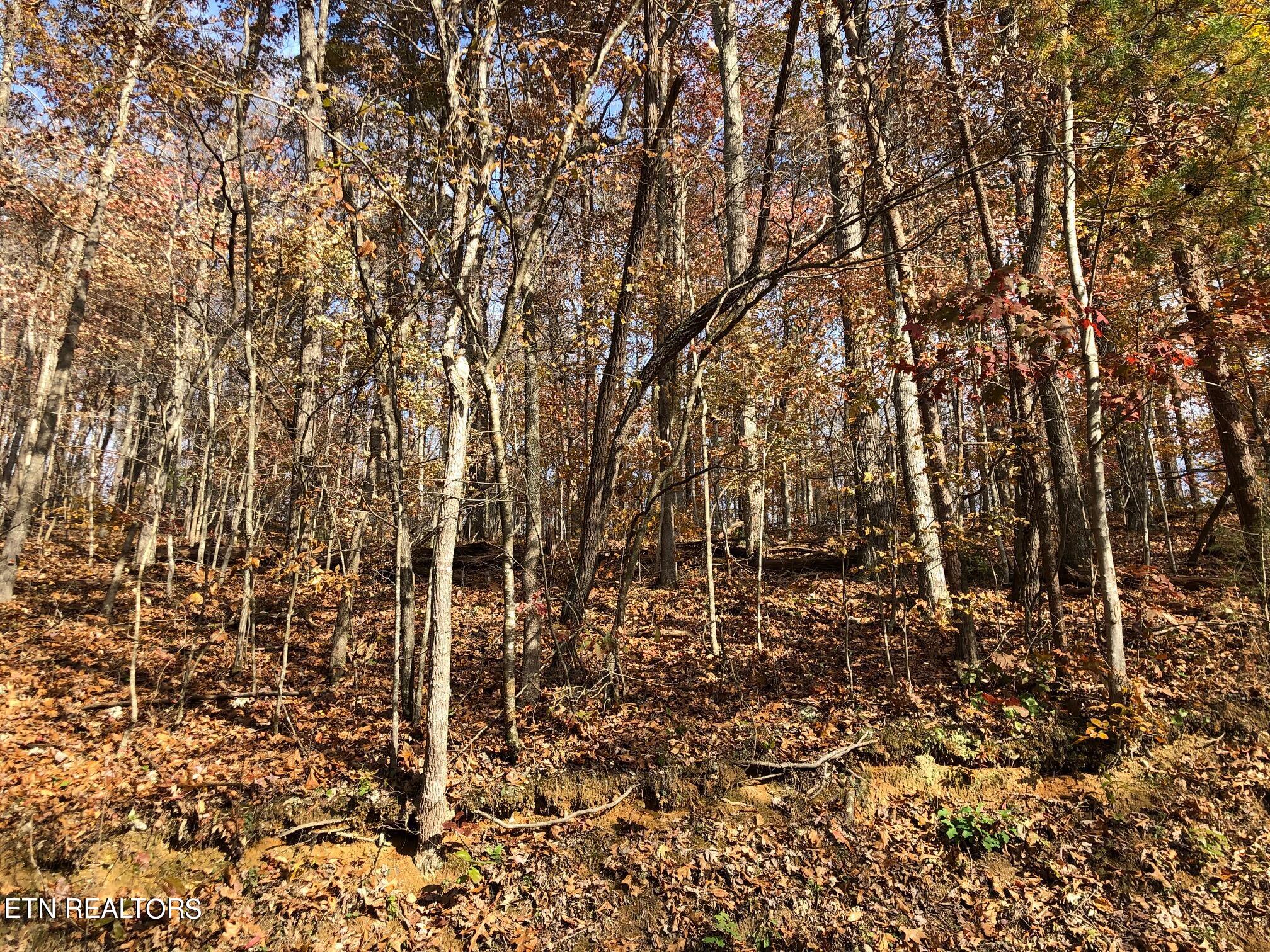 Lot 52 Harbor Lane Property Photo 1