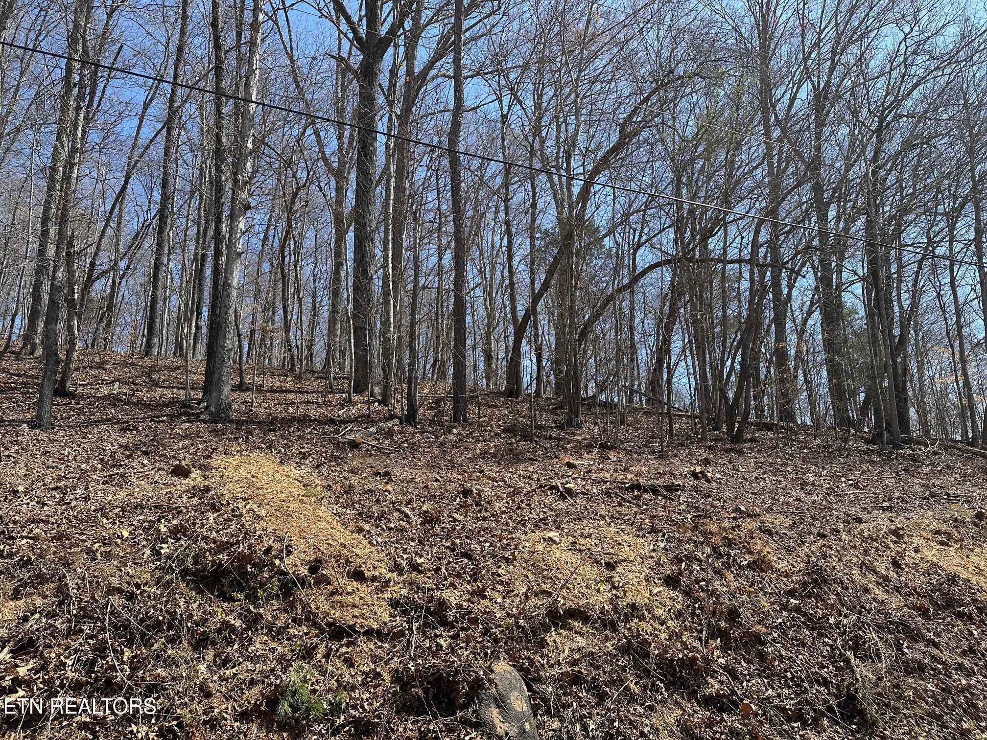 Lot 52 Harbor Lane Property Photo 3