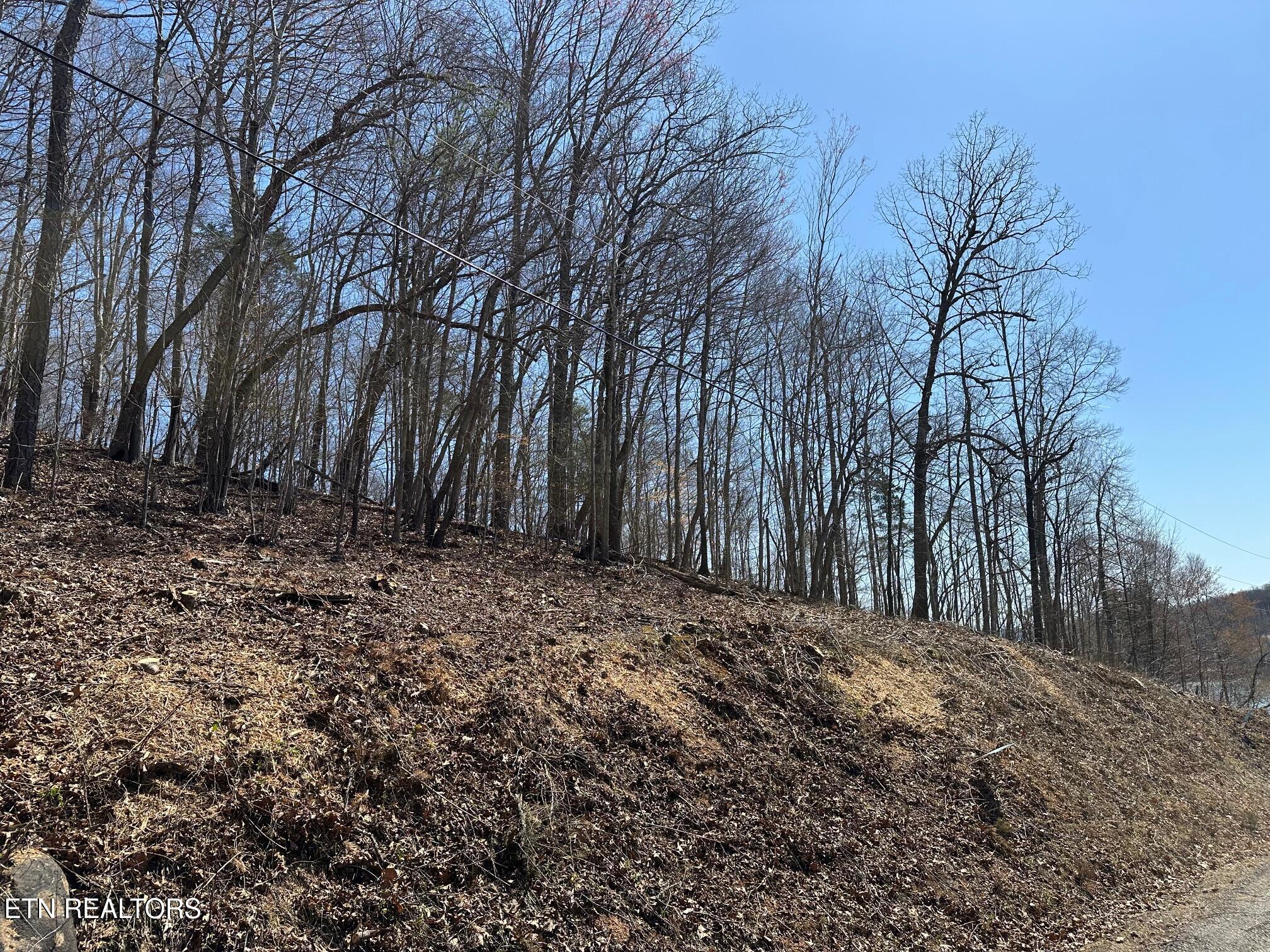 Lot 52 Harbor Lane Property Photo 4