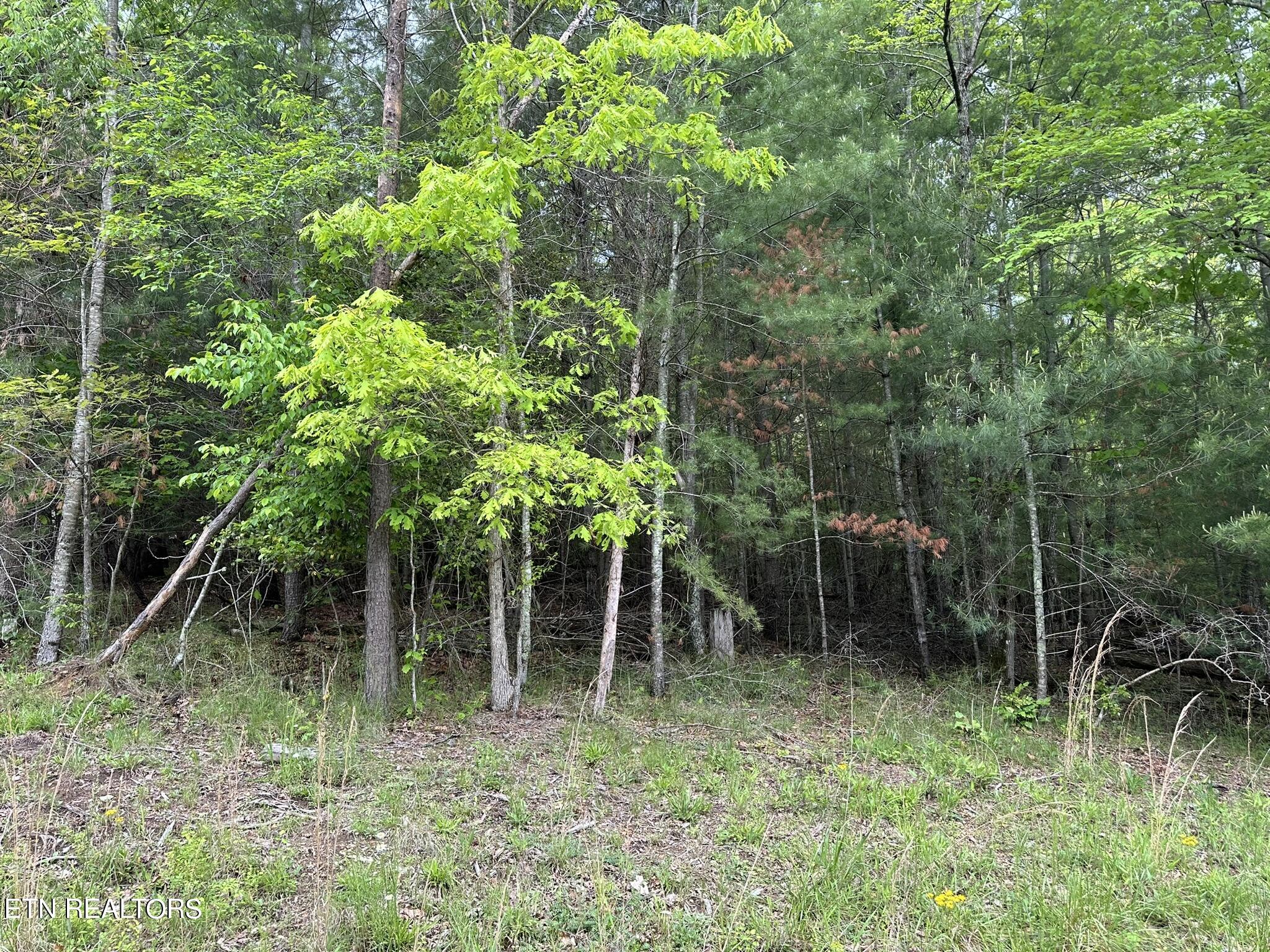 114 Forest Hill Drive Property Photo