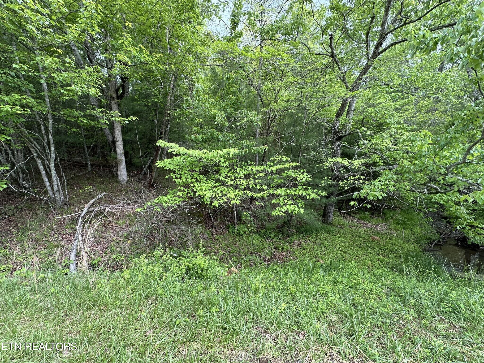 112 Forest Hill Drive Property Photo