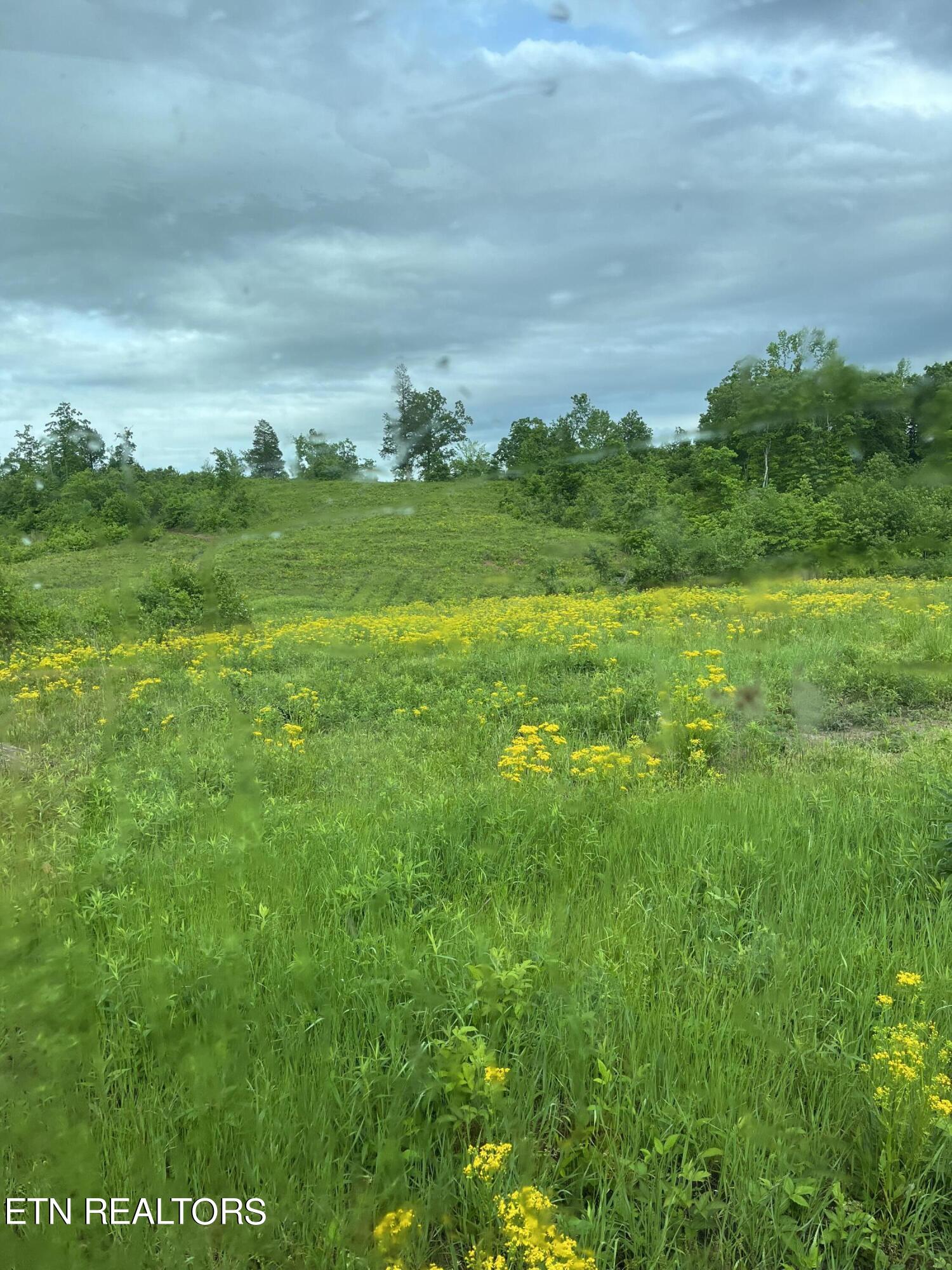 169 County Road 188 Property Photo