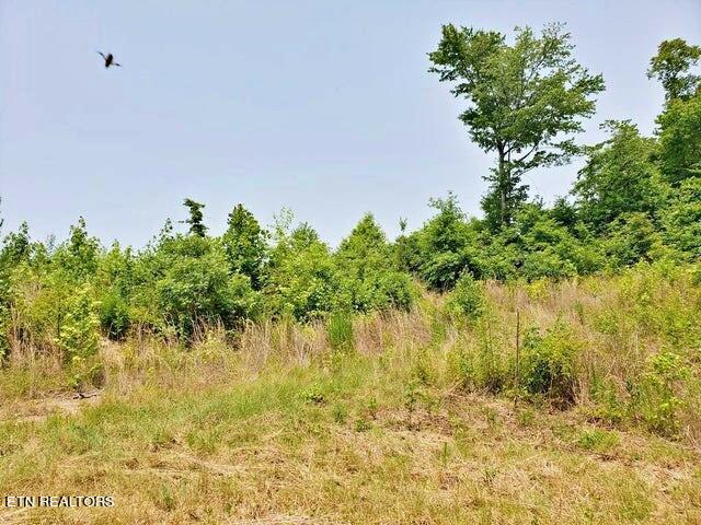 169 County Road 188 Property Photo 3