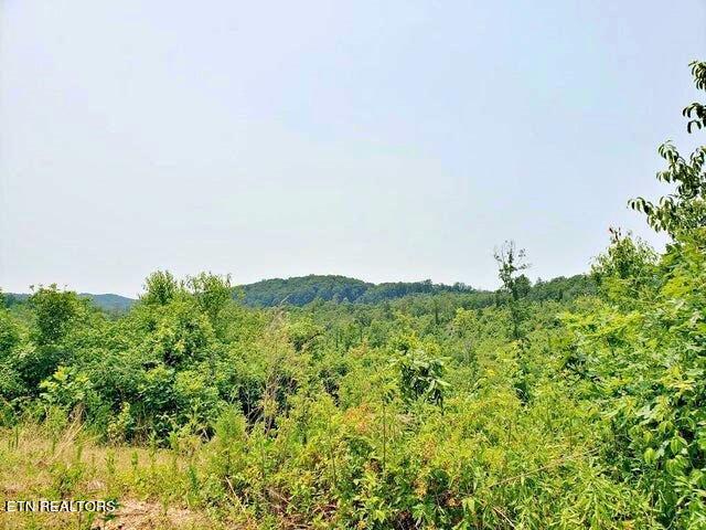 169 County Road 188 Property Photo 4