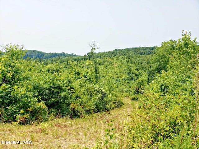 169 County Road 188 Property Photo 5