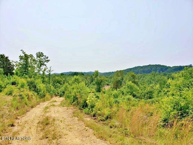 169 County Road 188 Property Photo 6