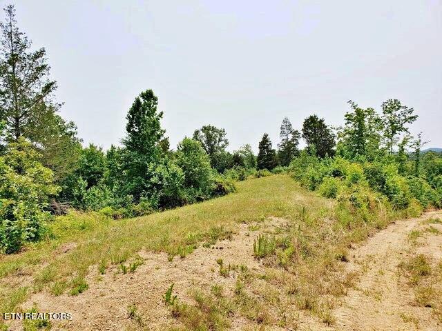 169 County Road 188 Property Photo 8