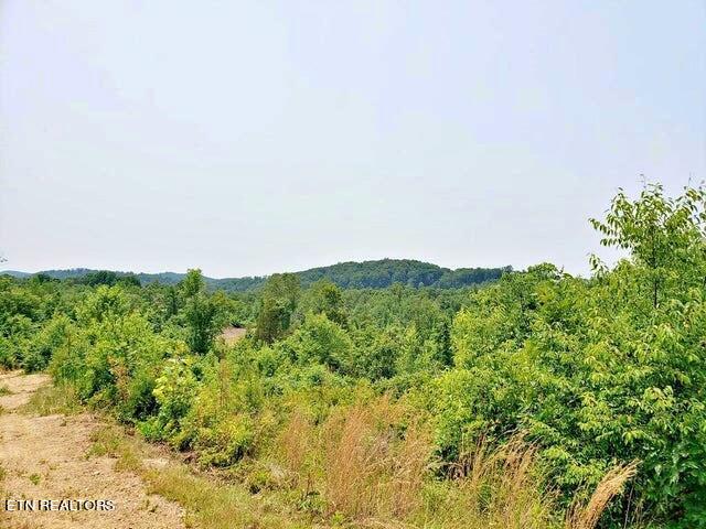 169 County Road 188 Property Photo 10