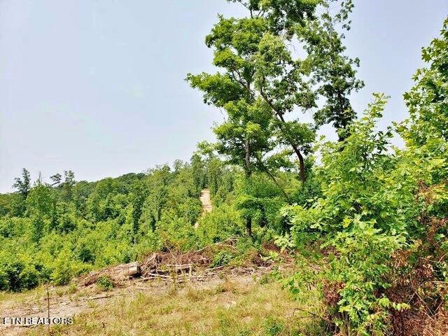 169 County Road 188 Property Photo 11