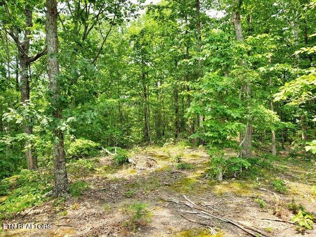 169 County Road 188 Property Photo 15