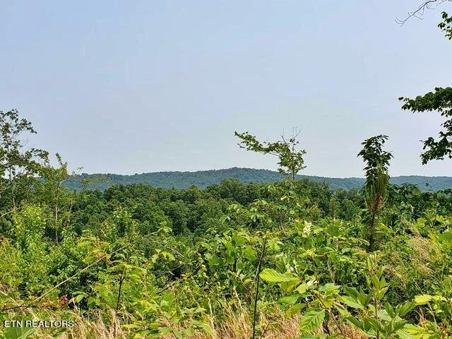 169 County Road 188 Property Photo 16