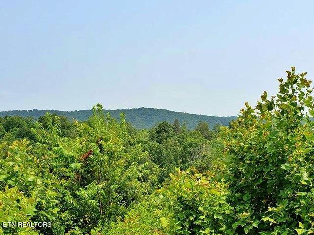 169 County Road 188 Property Photo 17