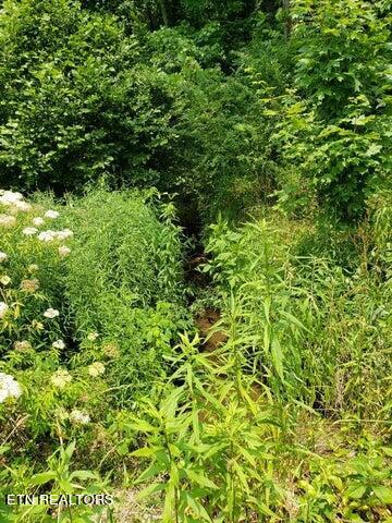 169 County Road 188 Property Photo 18
