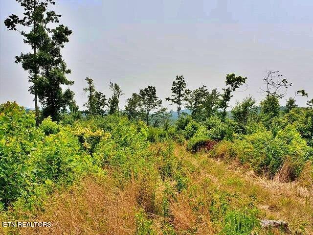 169 County Road 188 Property Photo 19
