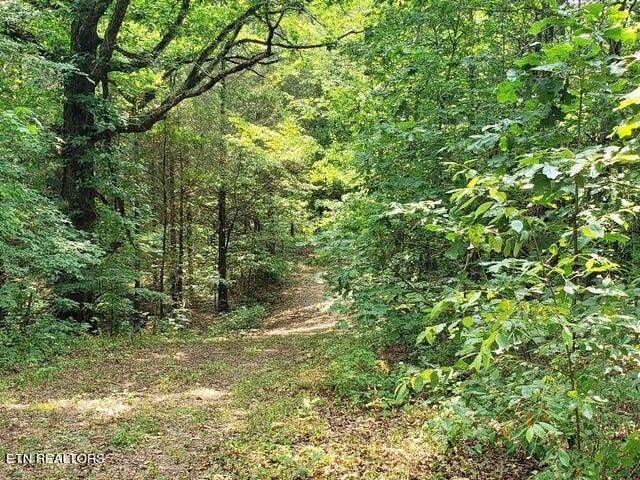 169 County Road 188 Property Photo 20