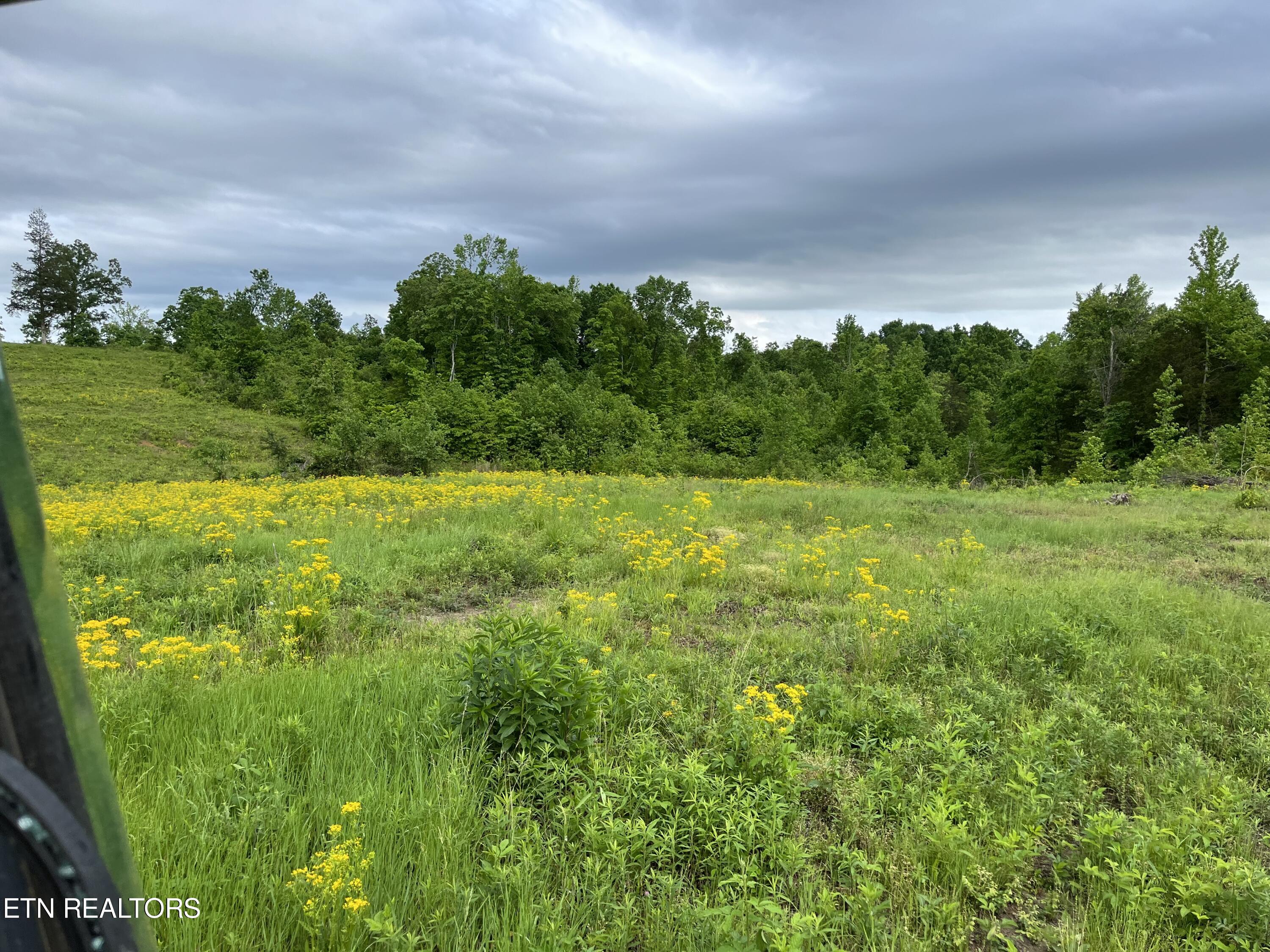 169 County Road 188 Property Photo 26
