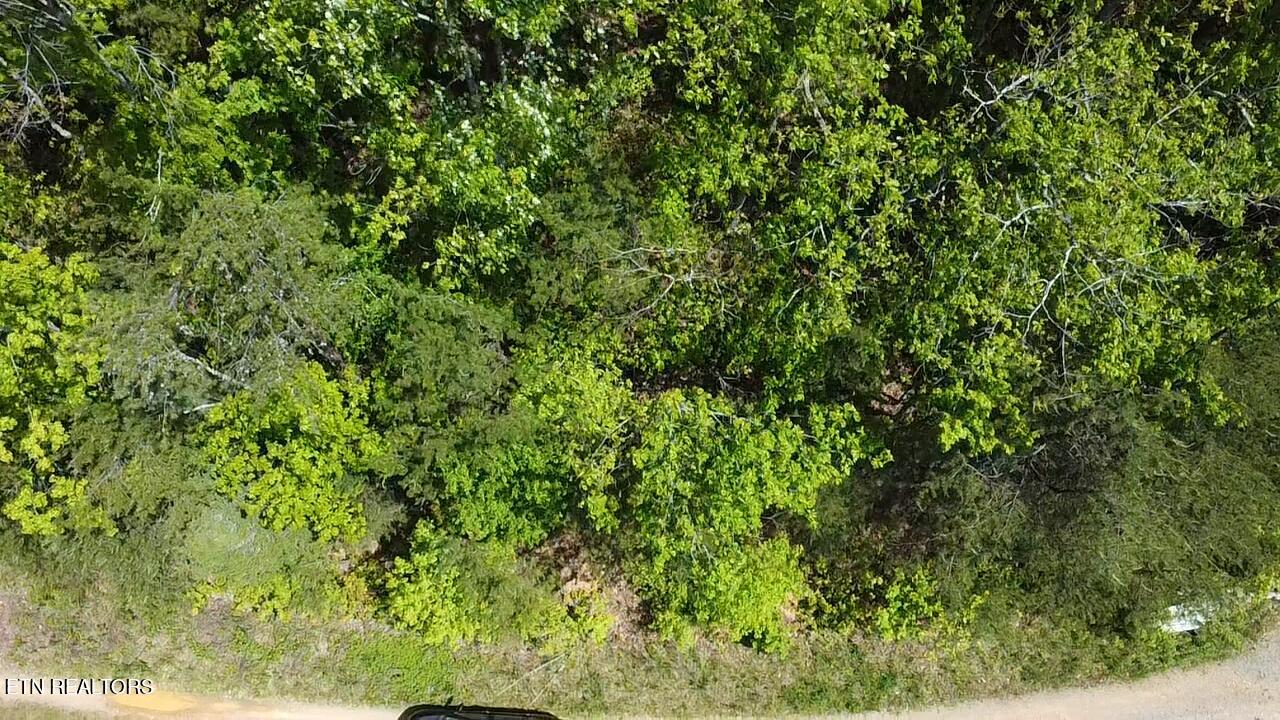 Lot 81 Yellowwod Drive Property Photo 3