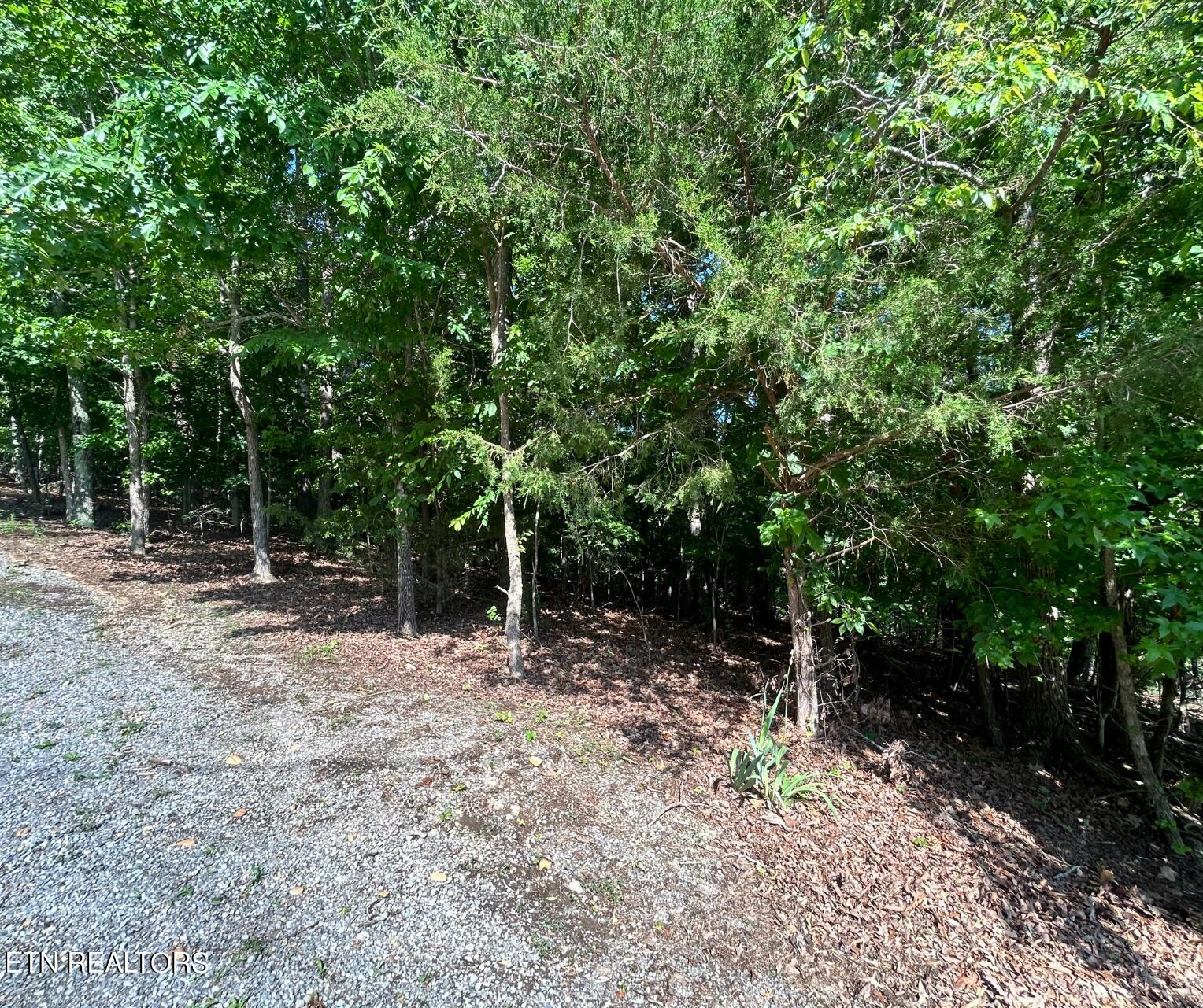 Beechwood Drive Property Photo 4