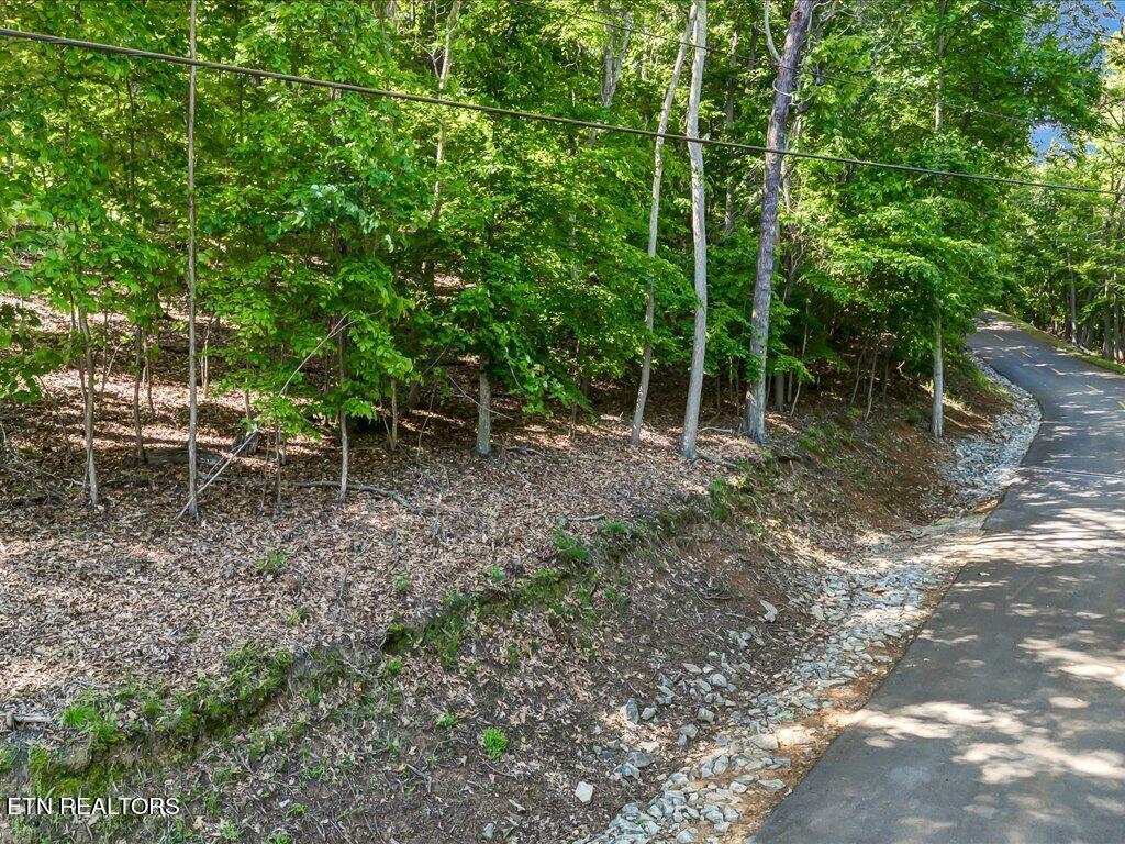 1202 Keetoowah Drive Property Photo 1