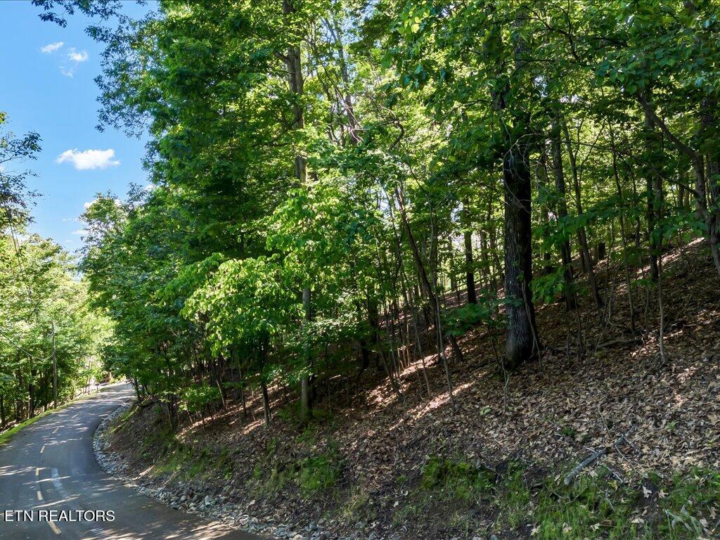 1202 Keetoowah Drive Property Photo 3