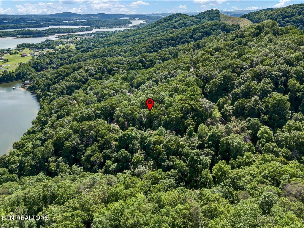 1202 Keetoowah Drive Property Photo 7