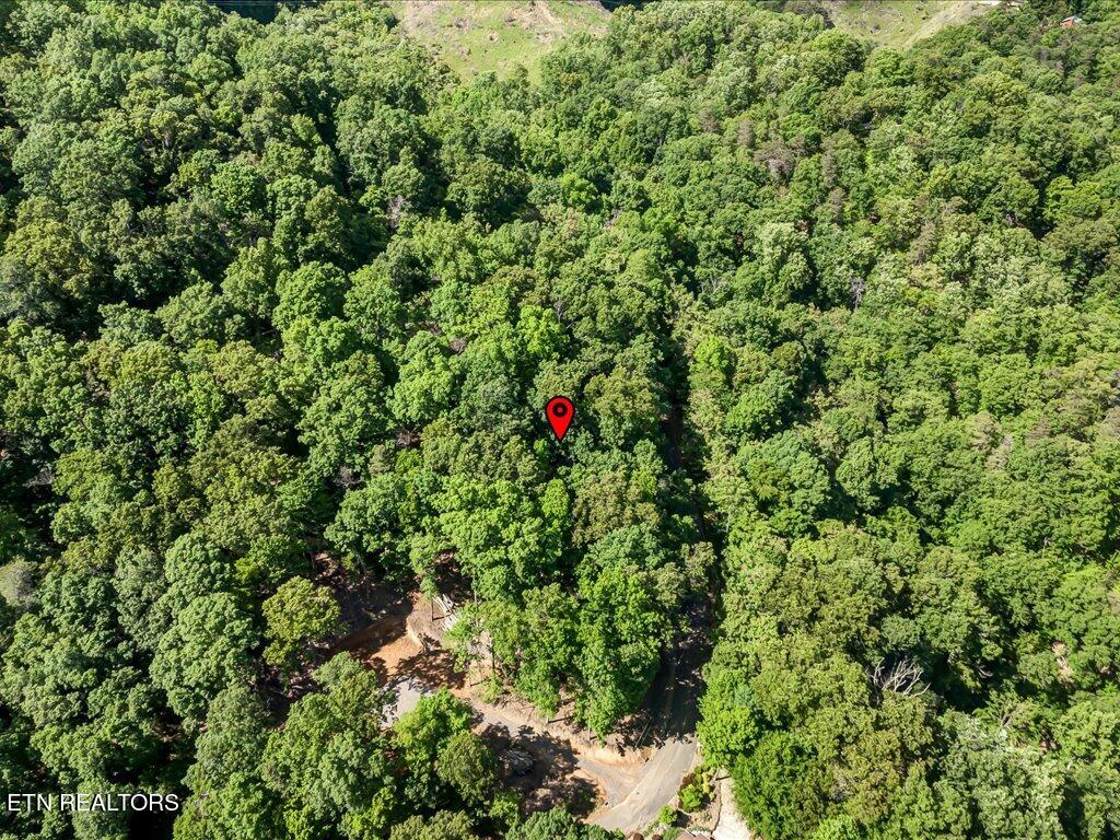 1202 Keetoowah Drive Property Photo 10