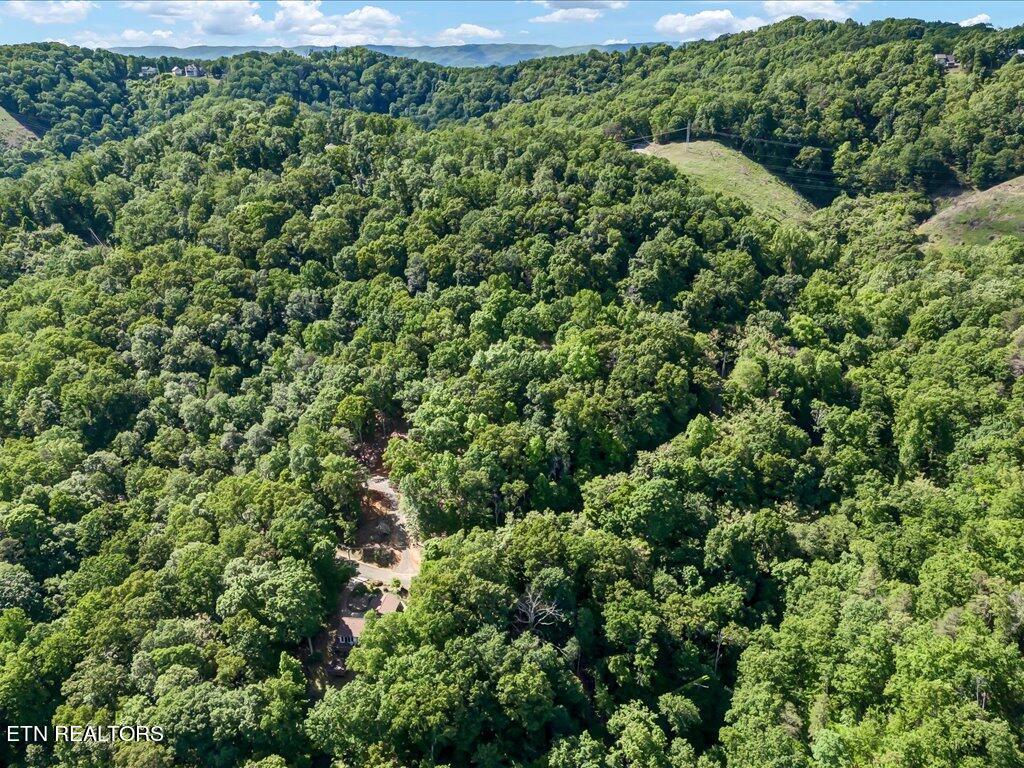 1202 Keetoowah Drive Property Photo 16