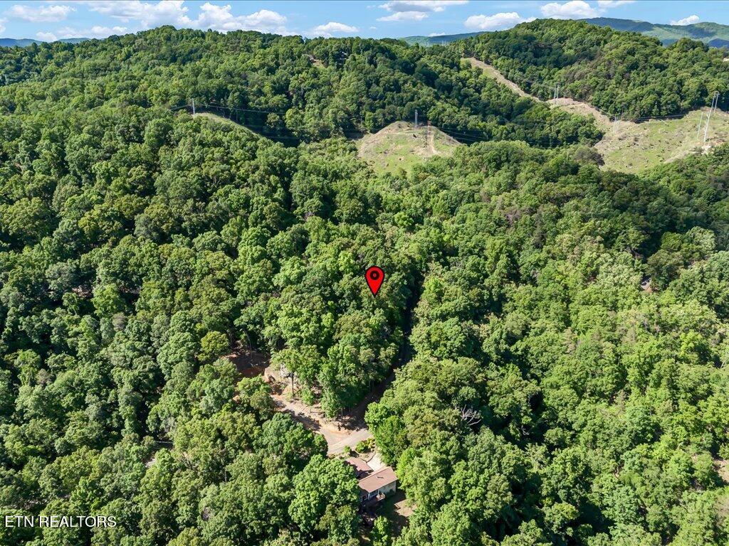 1202 Keetoowah Drive Property Photo 17