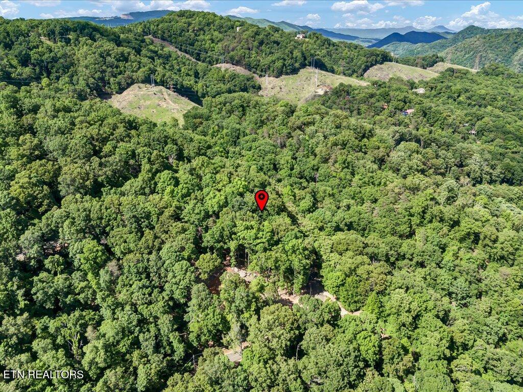 1202 Keetoowah Drive Property Photo 18