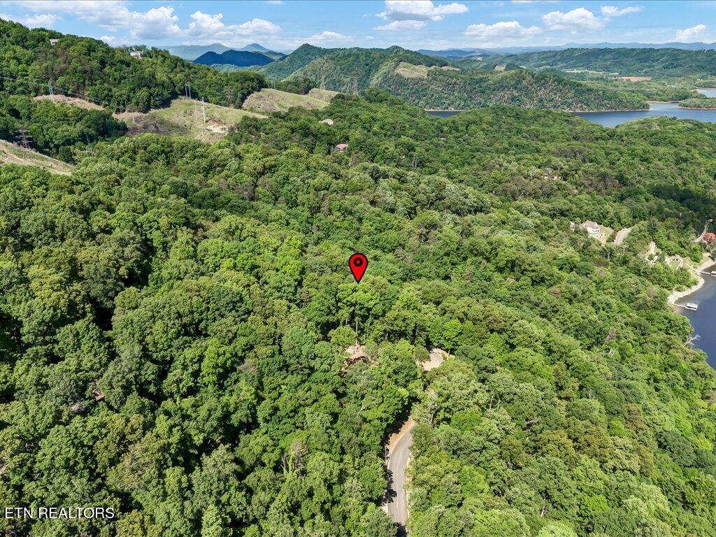 1202 Keetoowah Drive Property Photo 20