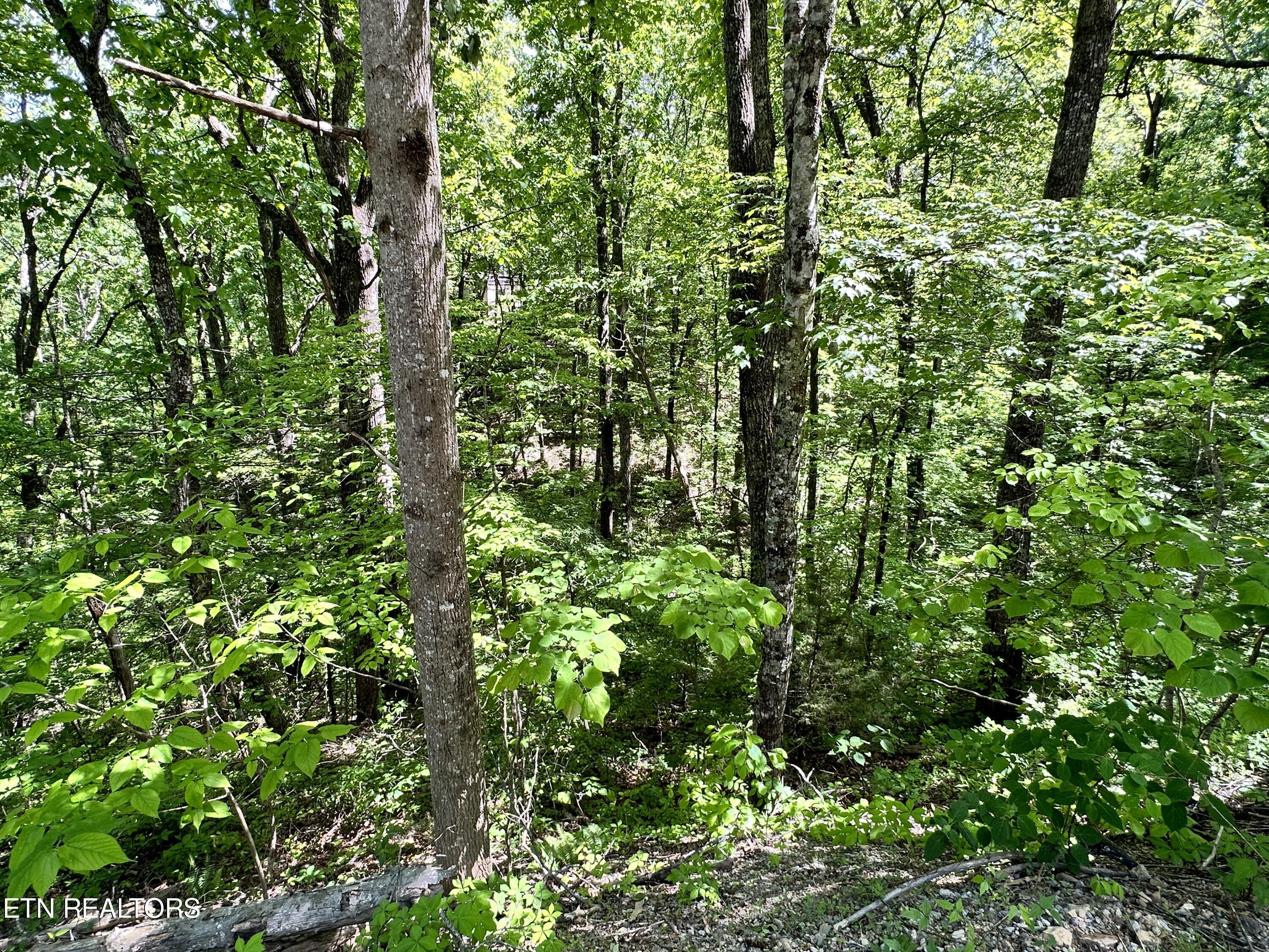 2604 Sunset Rd Property Photo 2