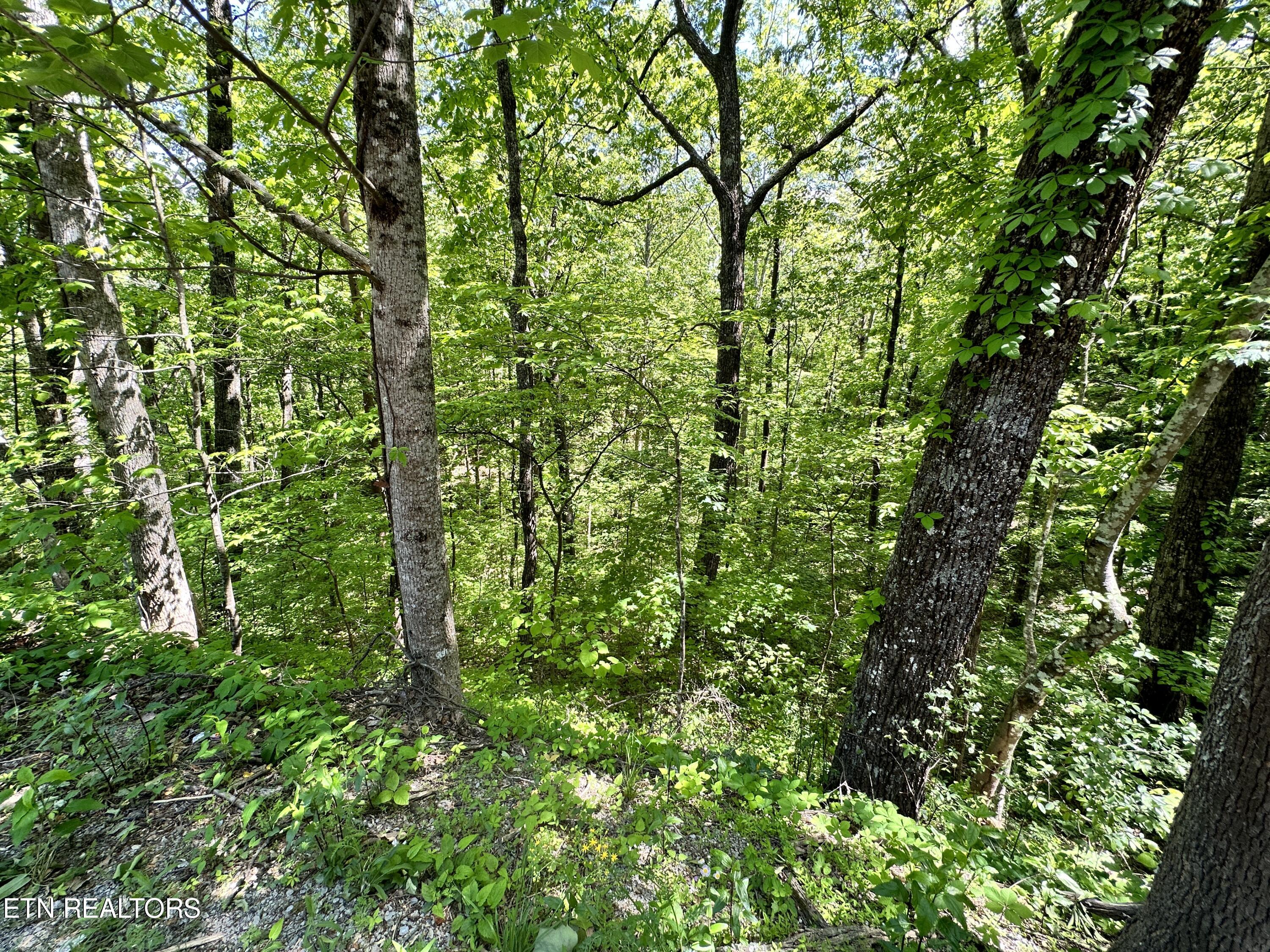 2604 Sunset Rd Property Photo 6
