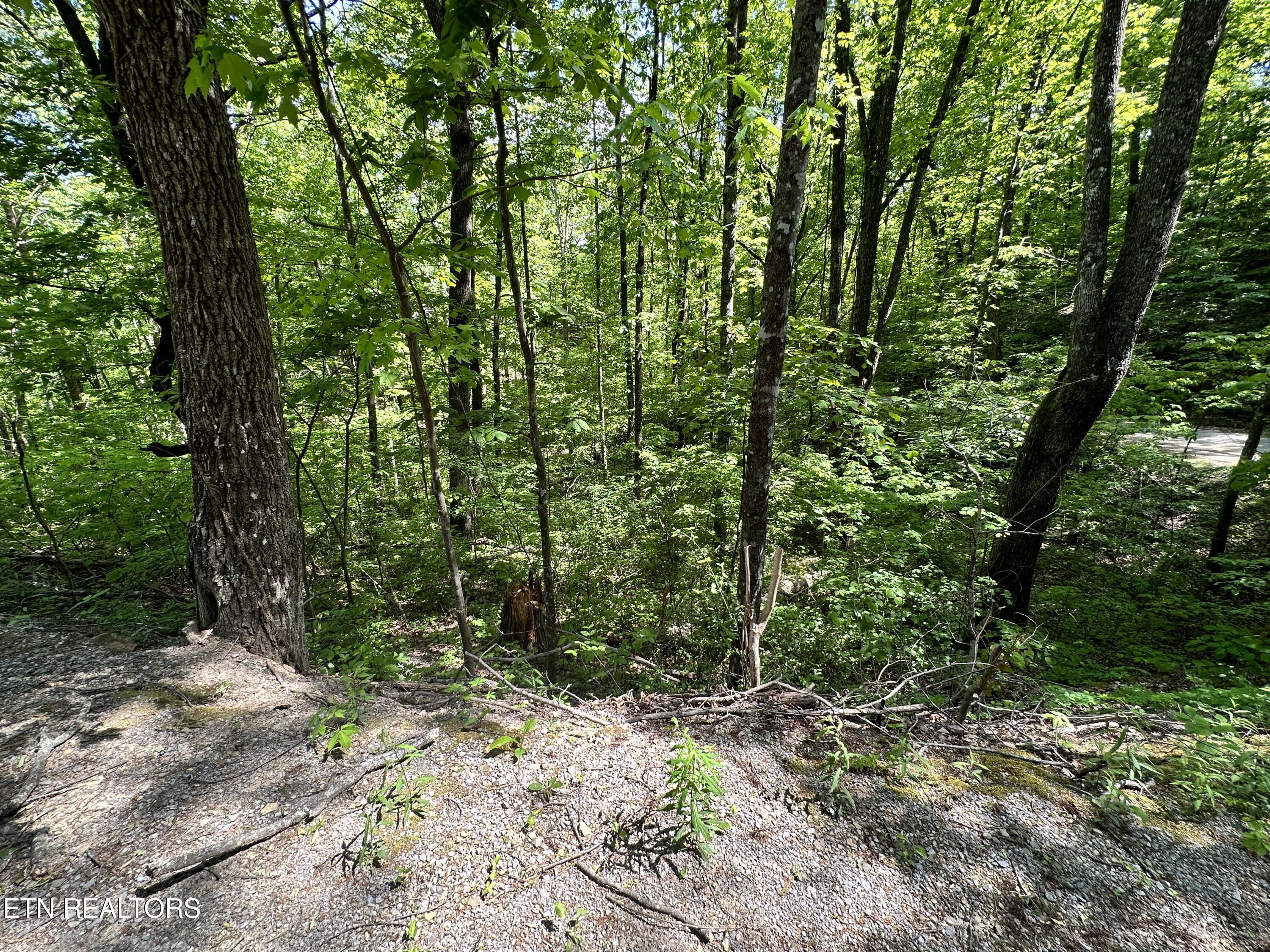2604 Sunset Rd Property Photo 8