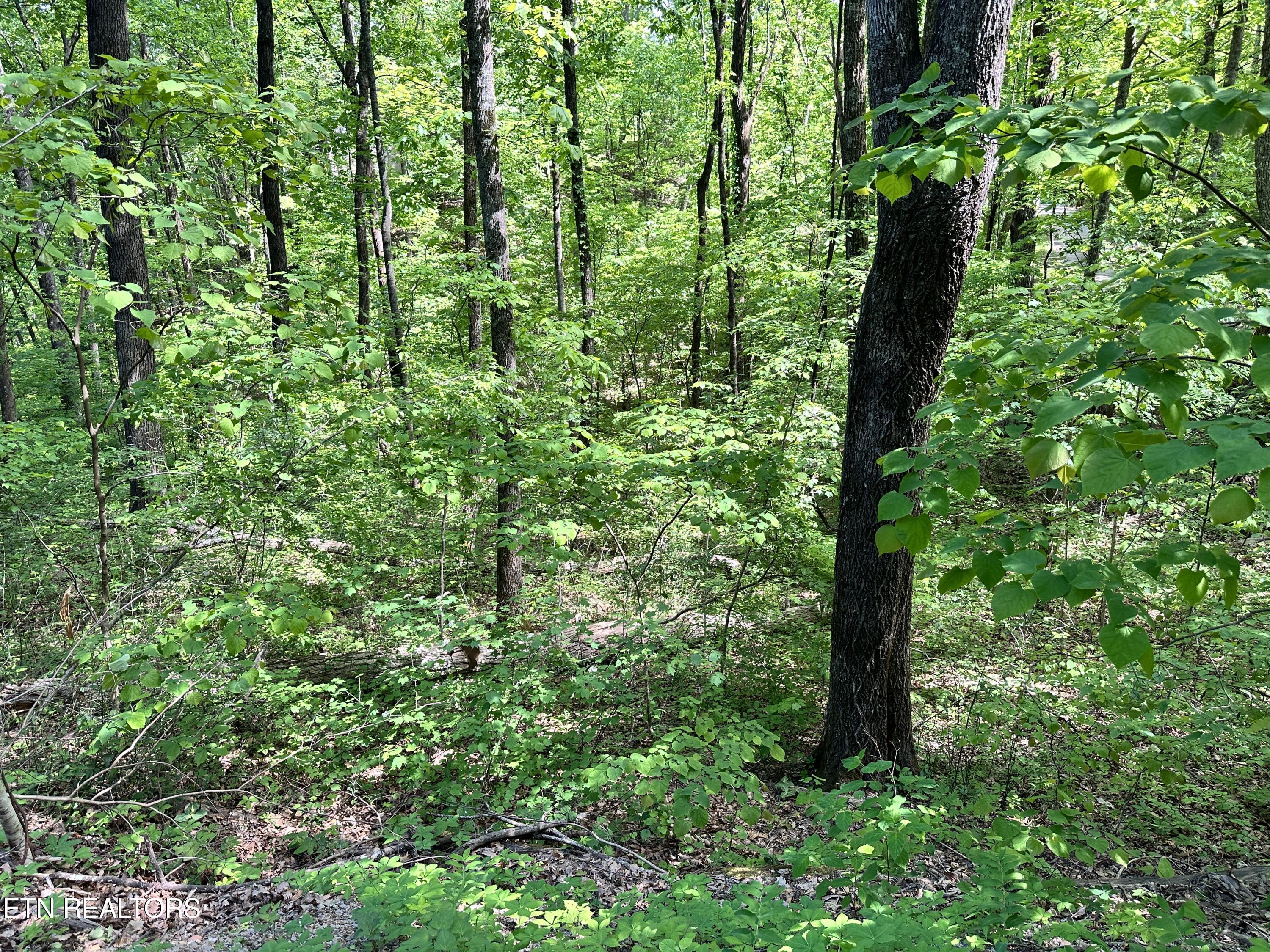 2604 Sunset Rd Property Photo 9