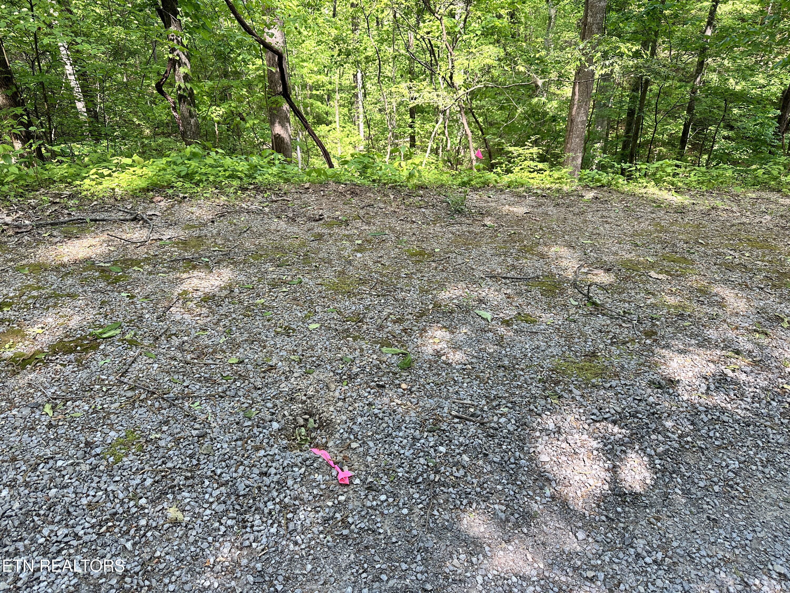 2604 Sunset Rd Property Photo 10