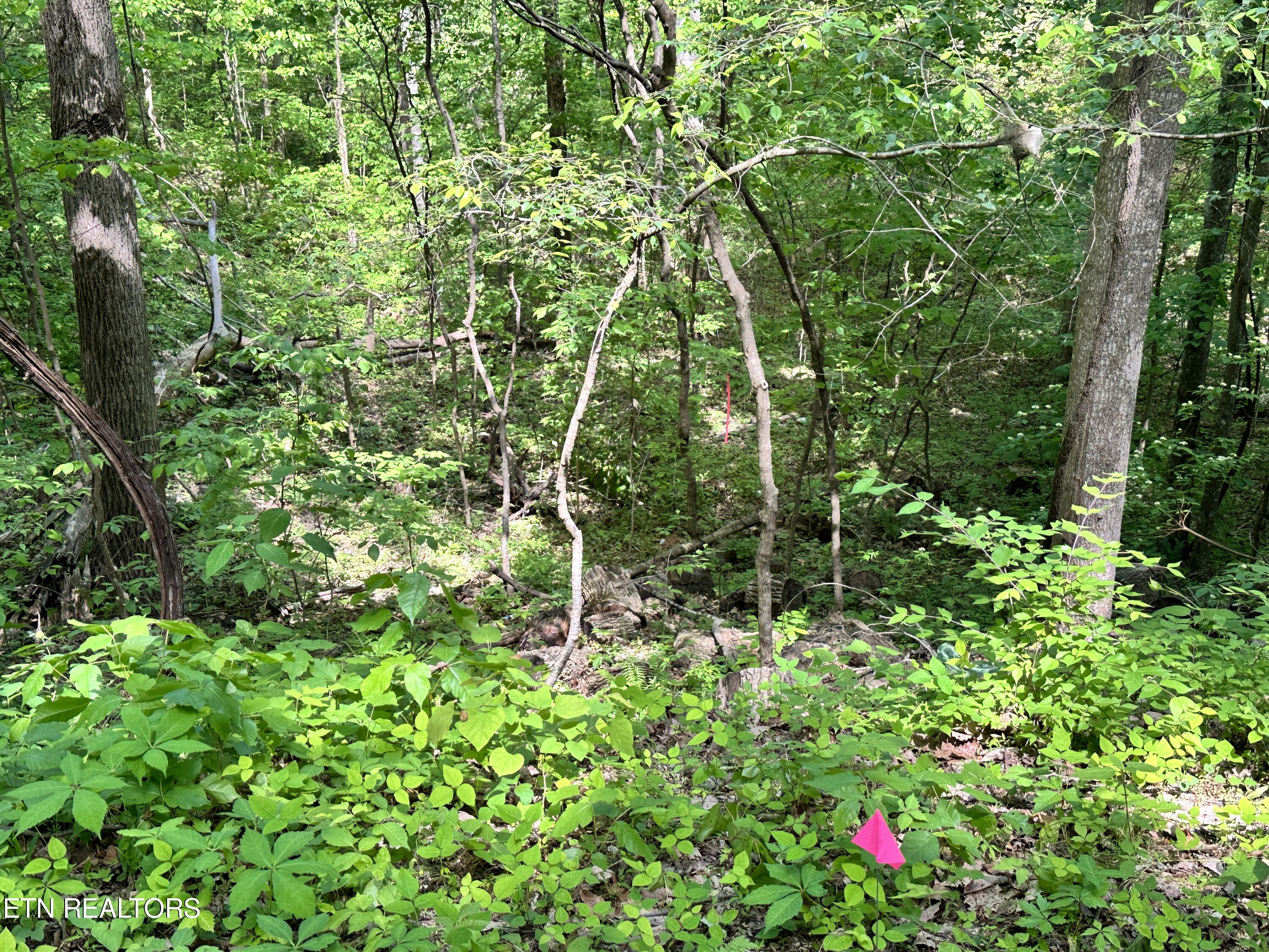 2604 Sunset Rd Property Photo 11