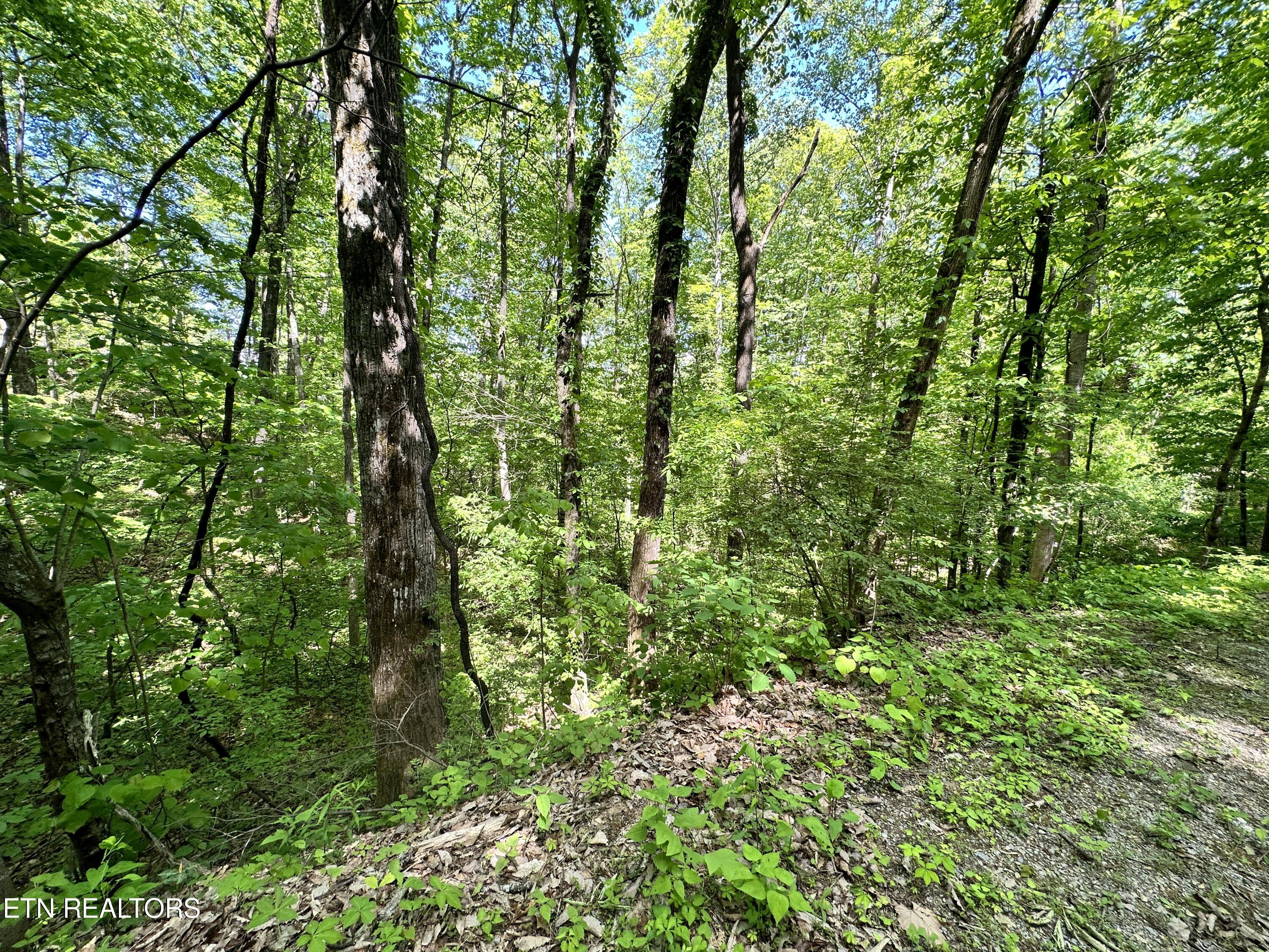 2604 Sunset Rd Property Photo 12