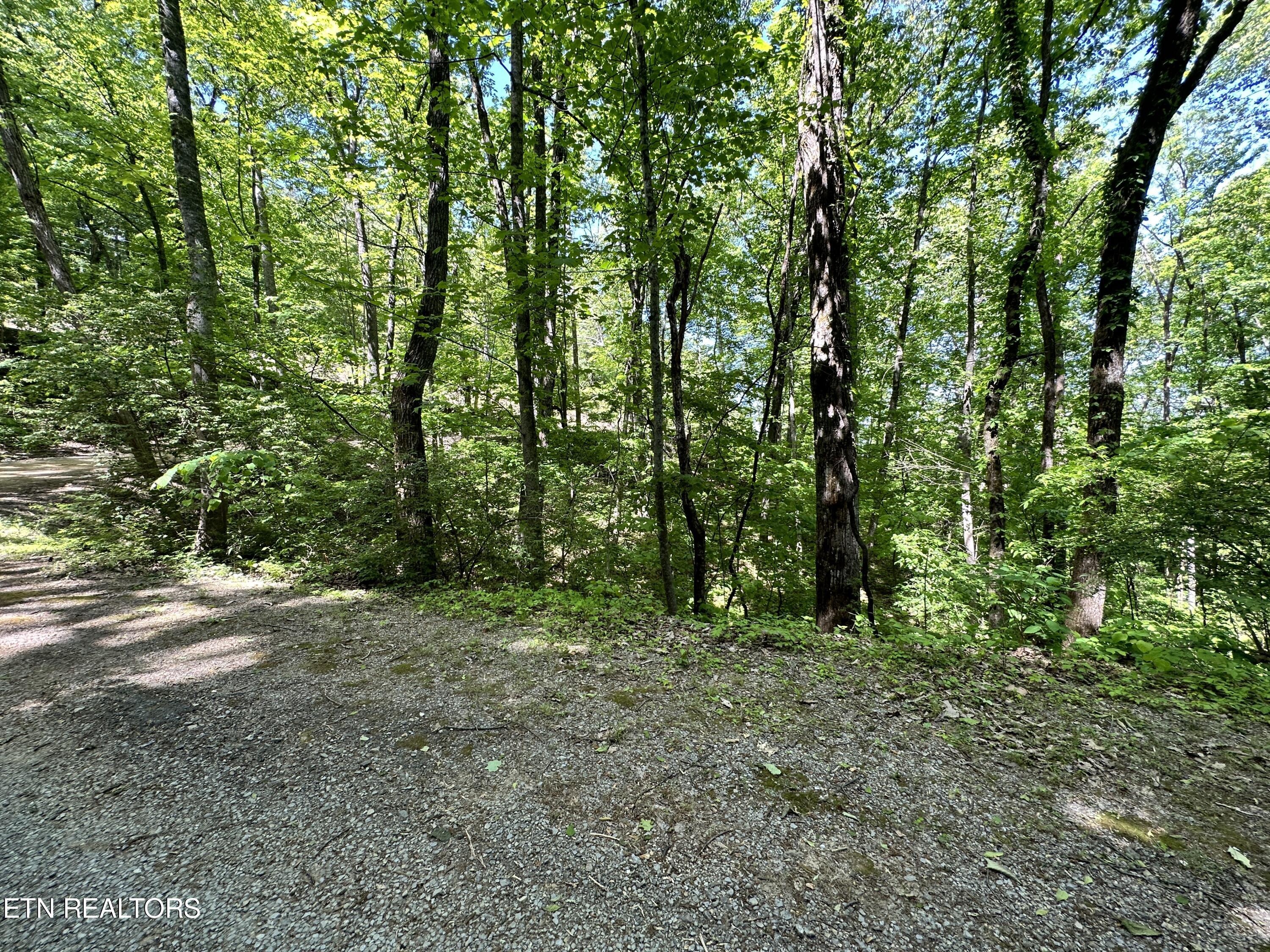 2604 Sunset Rd Property Photo 13