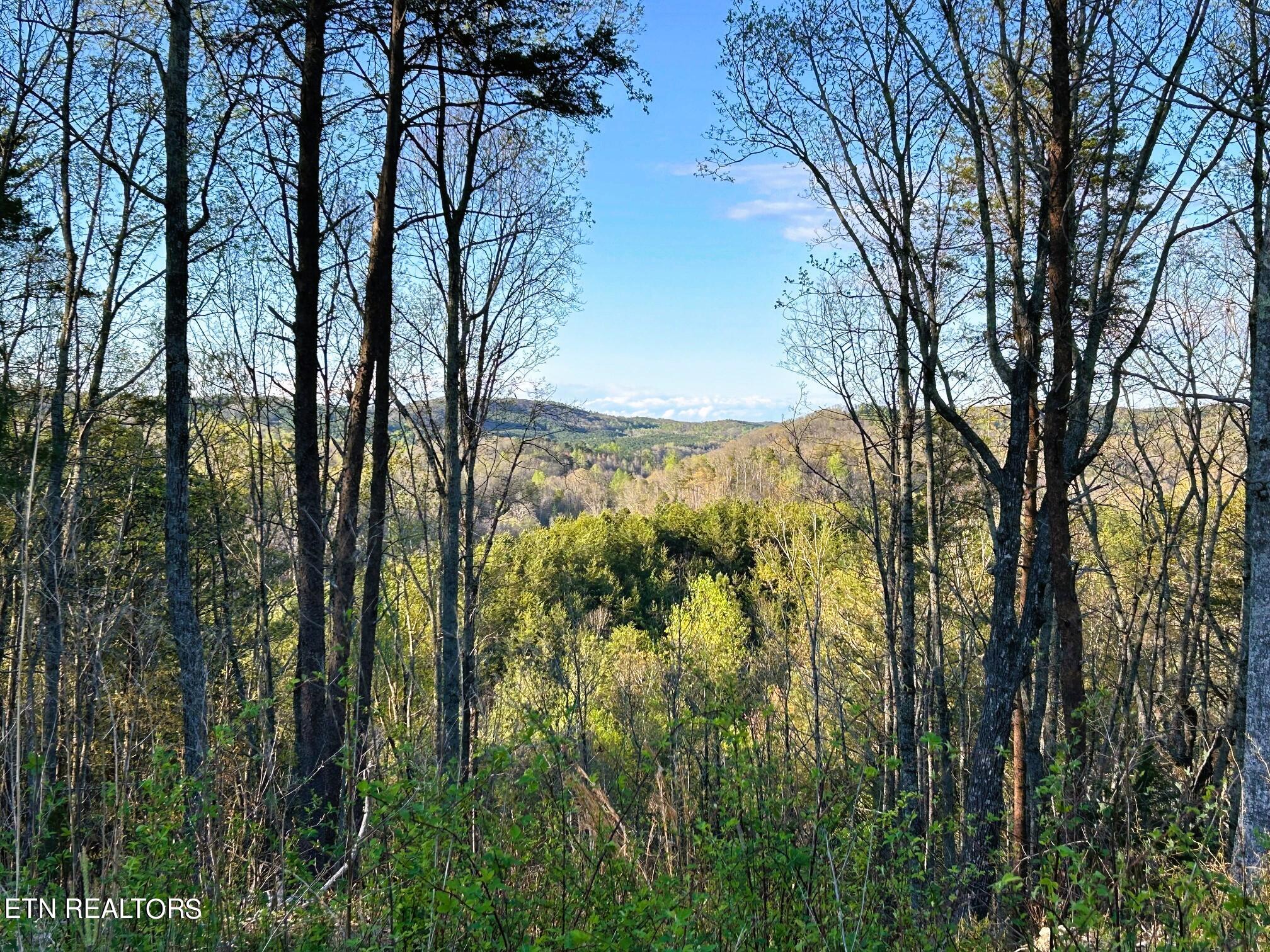 Tract 2 Sw Owl Hollow Rd Property Photo