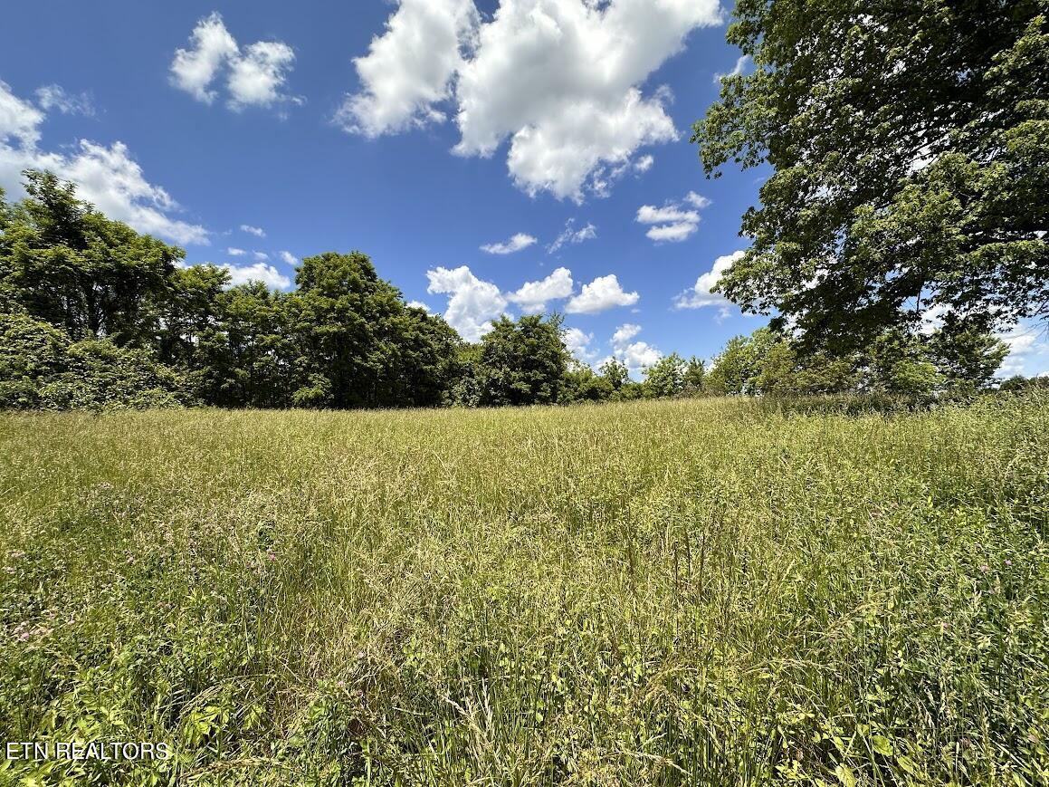 1ac Round Mountain Rd Property Photo 1