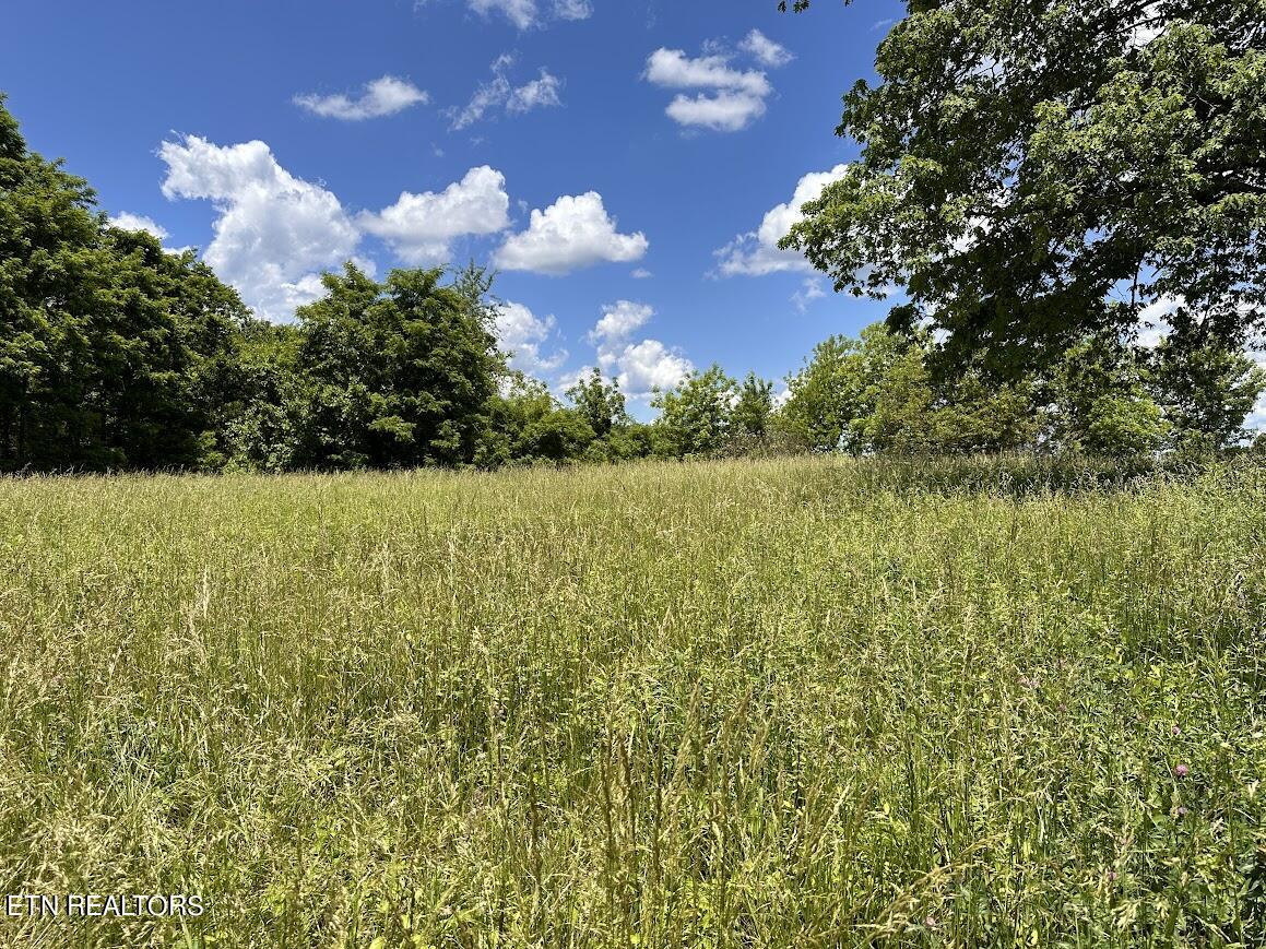 1ac Round Mountain Rd Property Photo 3