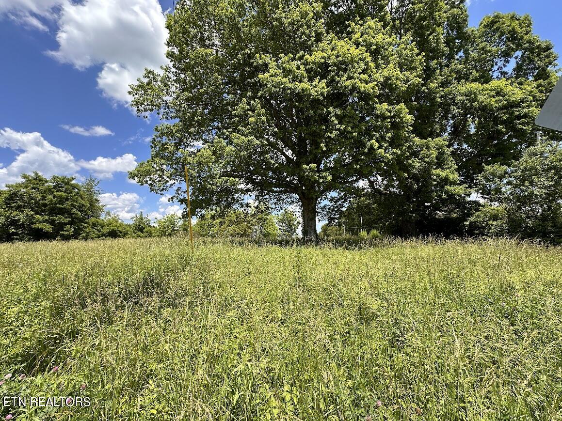 1ac Round Mountain Rd Property Photo 4