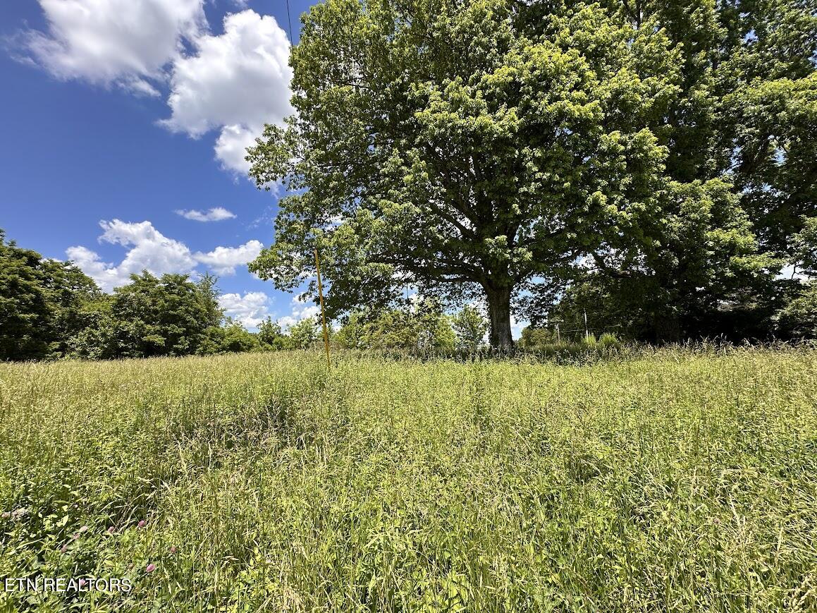 1ac Round Mountain Rd Property Photo 5