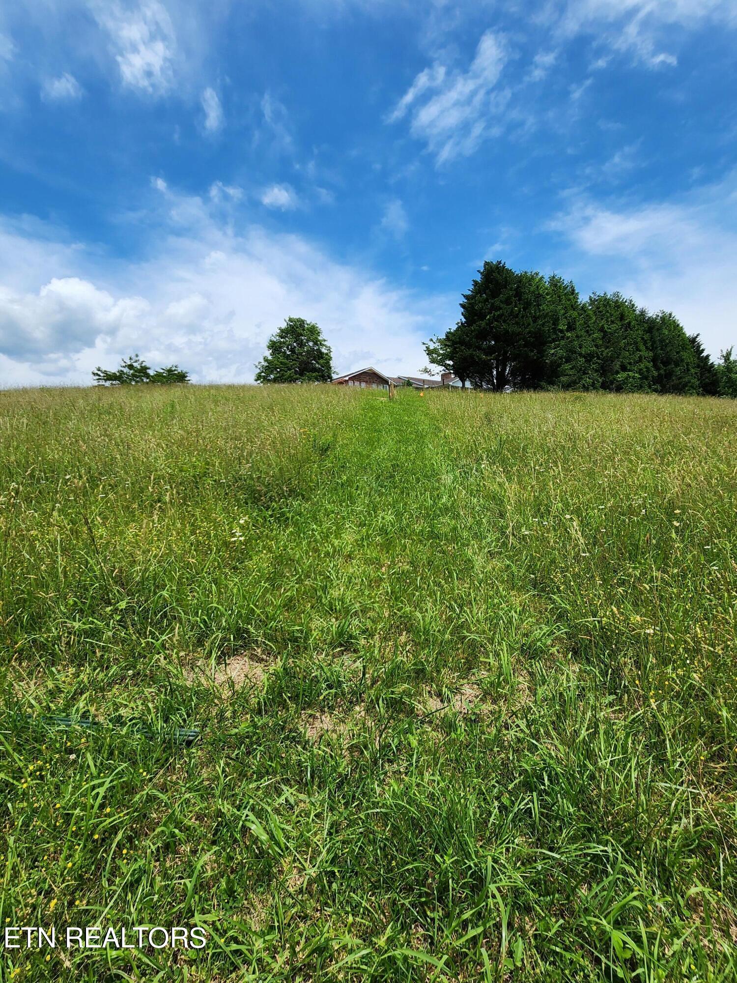 Hiwassee Drive Property Photo 3
